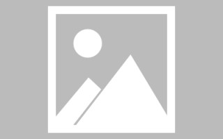 白山新区景区网站建设（in art criticism,you must assume）